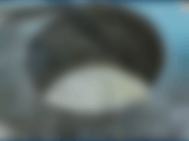 巻フランジ加工による鋼材の高い歩留まりを実現 BENDING