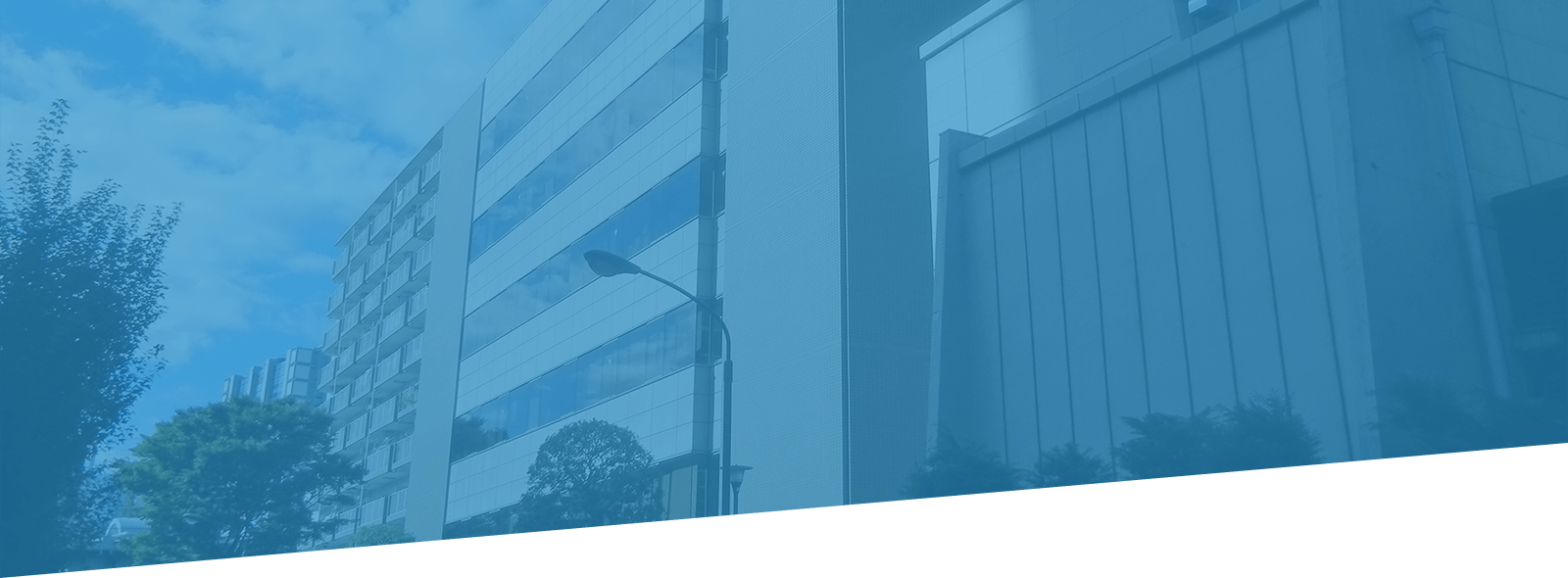 会社概要 COMPANY